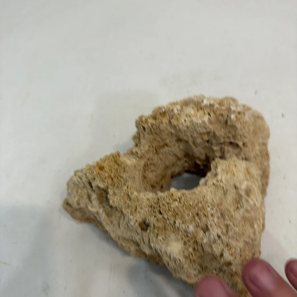 CORAL 8